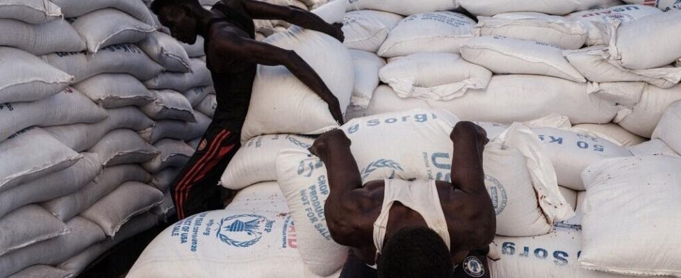 Two out of three Sudanese will need humanitarian aid in