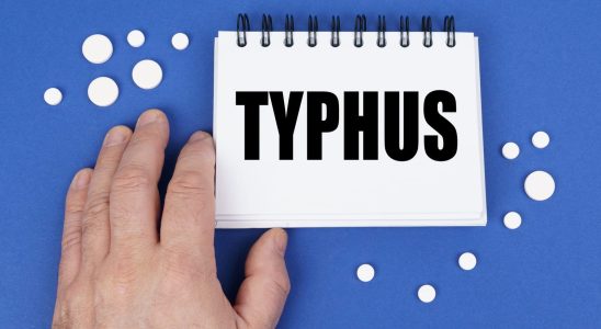 Typhus definition symptoms contagion vaccine