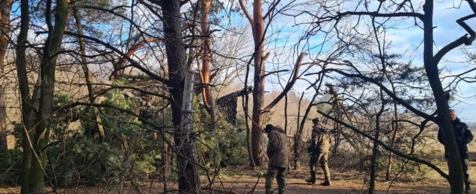 Ukrainian artillerymen on the defensive in the east of the