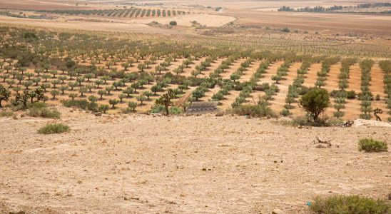 Water rationing is introduced in Tunisia