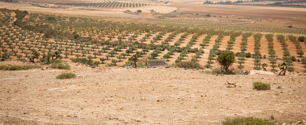 Water rationing is introduced in Tunisia