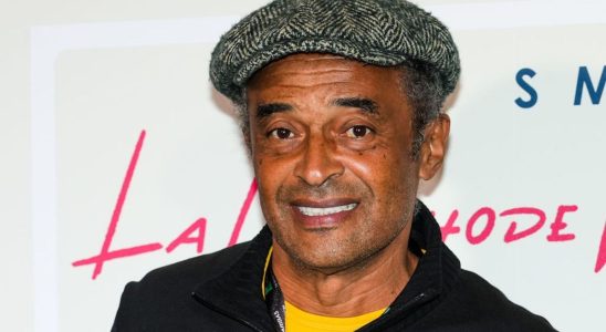 Yannick Noah hospitalized in emergency for a crisis of malaria