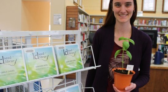 Year of the snow pea Lambton County Library unveils One