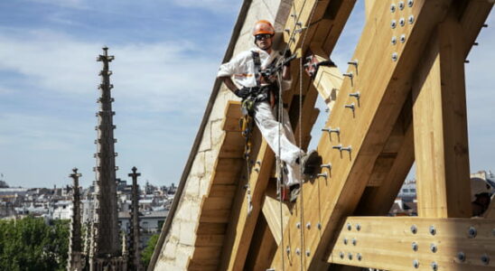 behind the scenes of an extraordinary construction site