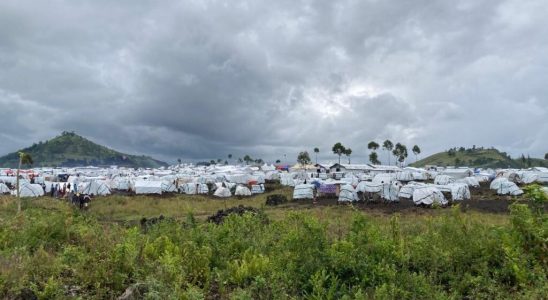 in Goma a welcome humanitarian aid to fight against cholera