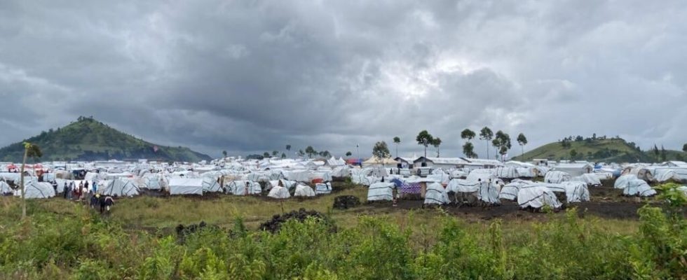 in Goma a welcome humanitarian aid to fight against cholera