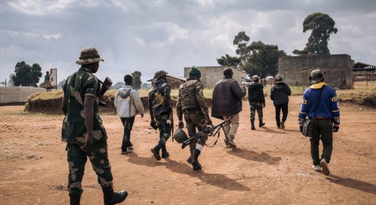 in Ituri a dozen hostages executed by militias