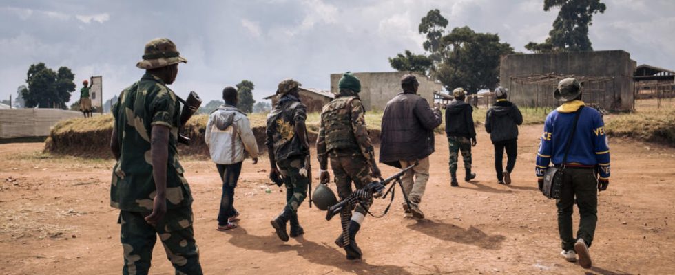 in Ituri a dozen hostages executed by militias