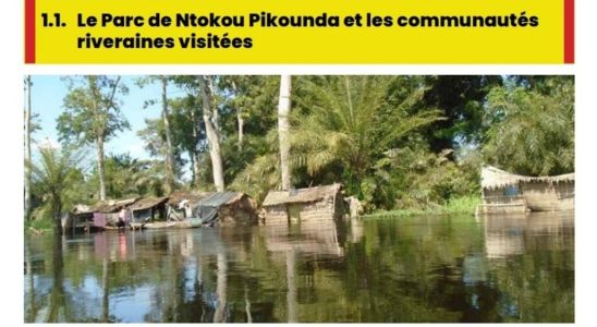 the populations of the Ntokou Pikounda park mistreated according to a