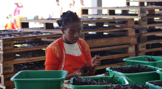 vanilla exporters discuss common marketing strategy