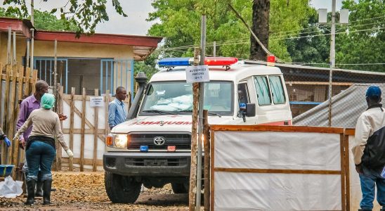 19 dead in landslide in Congo Kinshasa