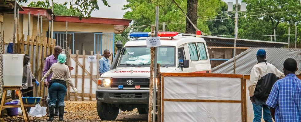 19 dead in landslide in Congo Kinshasa