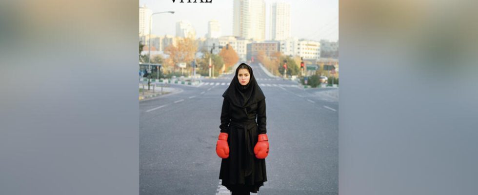 Anahita Ghabaian Women photographers take a feminine look at war