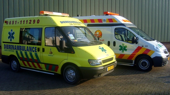 Animal ambulance Vianen complains We pay for bird flu