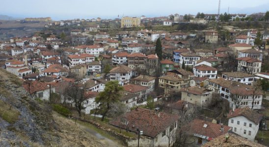 Arrests in Turkiye after the death of the young Gabonese