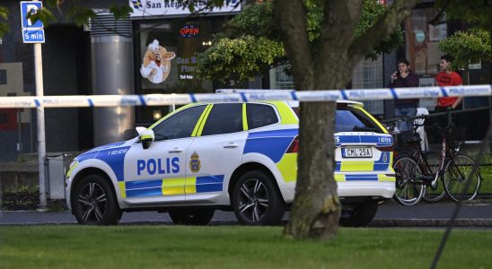 Boy sentenced for gang murder in Kristianstad