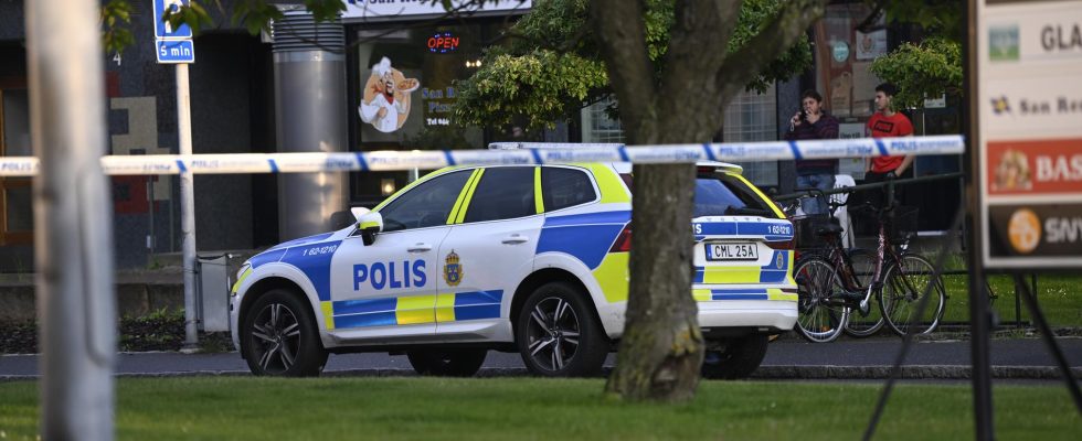 Boy sentenced for gang murder in Kristianstad