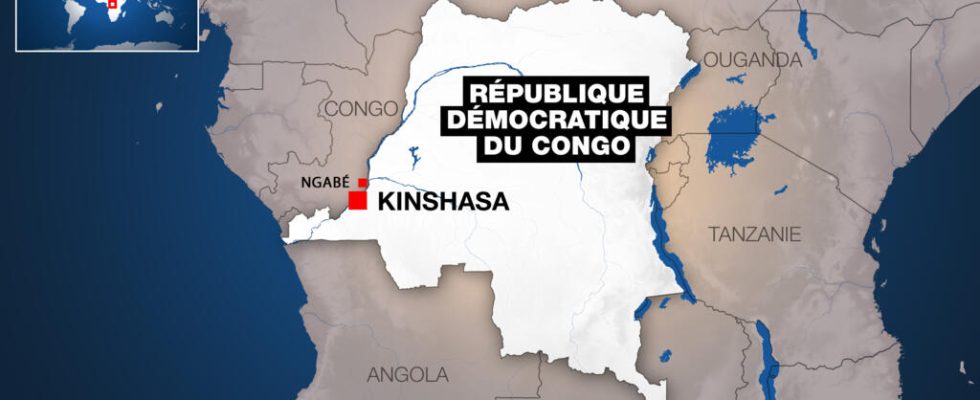 Brading of state property in the DRC an NGO calls