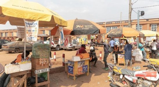 Cameroon bans the production and sale of bagged whiskey