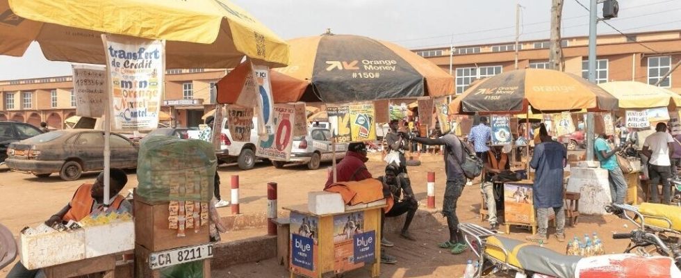 Cameroon bans the production and sale of bagged whiskey