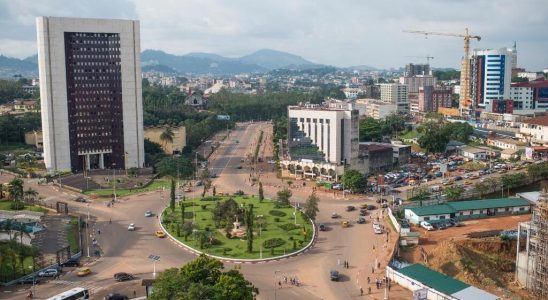 Cameroon launches its fully electronic visa project