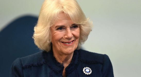 Camilla Parker Bowles a symbolic parallel with Lady Di during the