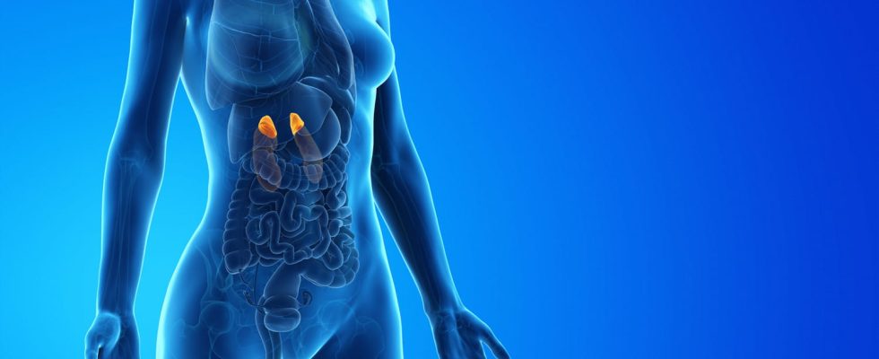 Cancer of the adrenal glands causes treatment survival