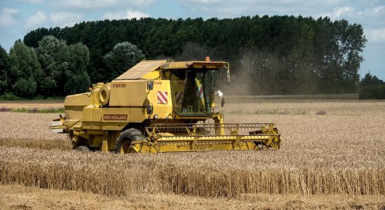 Cereals an insecticide at the heart of the showdown between