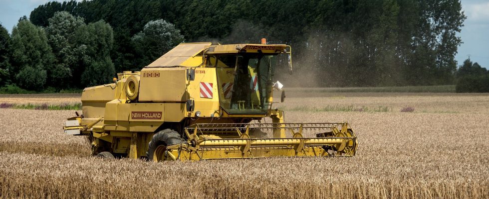 Cereals an insecticide at the heart of the showdown between