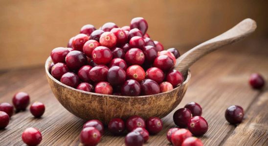 Cranberries can indeed prevent urinary tract infections