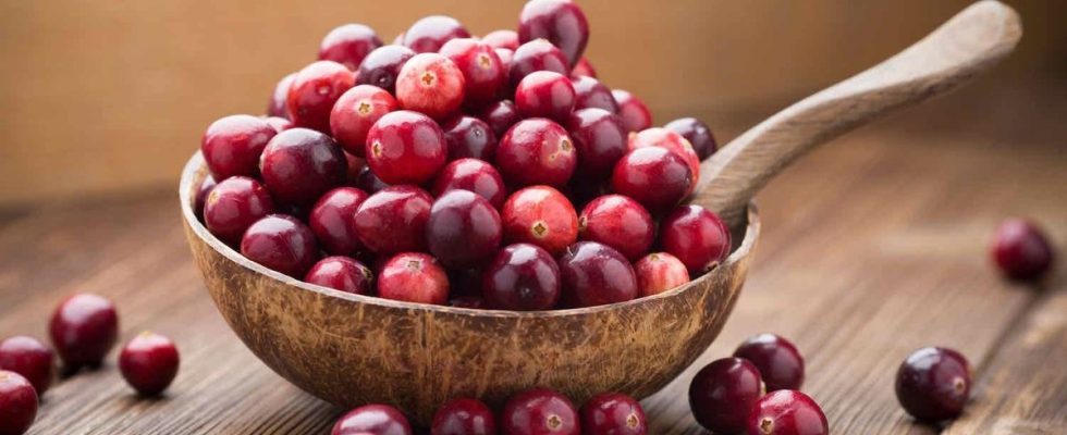 Cranberries can indeed prevent urinary tract infections