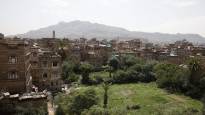 Dozens killed in stampede in Yemen EPN news