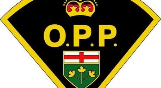 Dunnville bank employees report fraud in progress