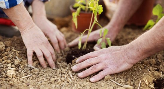 Earth Day Festival helps build community