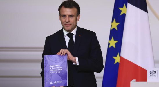 Emmanuel Macron wants a bill for a French model on