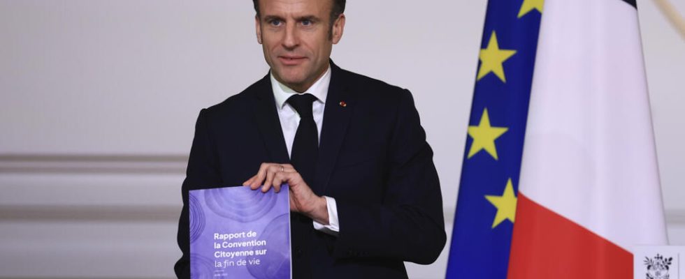 Emmanuel Macron wants a bill for a French model on