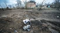 Explosions and poisons destroy fields in Ukraine the pollution