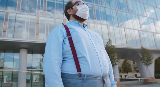 Exposure to eternal pollutants contributes to the development of obesity