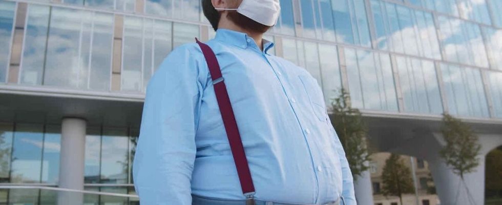 Exposure to eternal pollutants contributes to the development of obesity