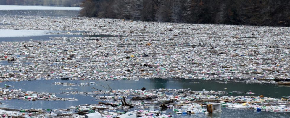 Faced with plastic pollution the Economic Social and Environmental Council