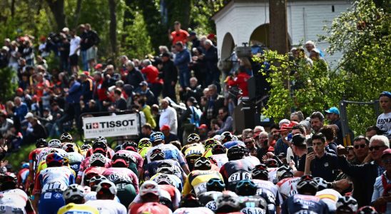 Fleche Wallonne 2023 entries course Info