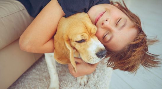 Food allergy children who live with a dog or a