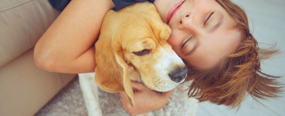 Food allergy children who live with a dog or a