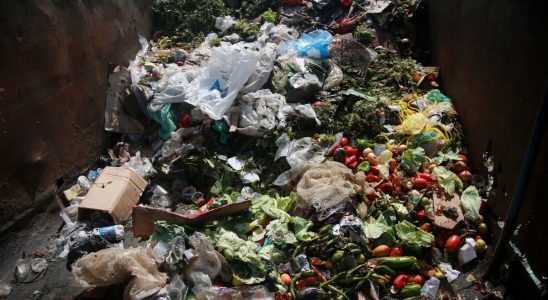 Food waste is responsible for half of the carbon emissions