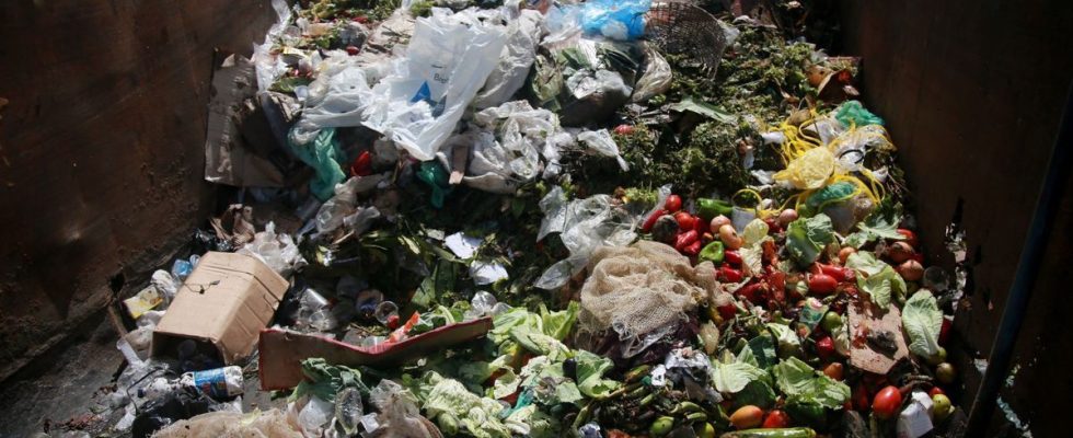 Food waste is responsible for half of the carbon emissions