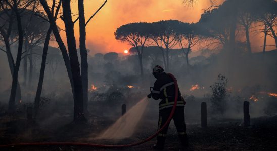 Forest fires is France ready for another high risk summer