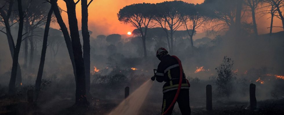 Forest fires is France ready for another high risk summer