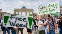 Germanys cannabis dreams failed in the EU Commission the bill