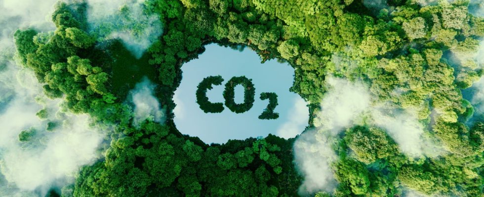 Greenhouse gases consequences diagram to understand