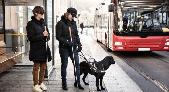 Guide dogs for the blind refused The public authorities must